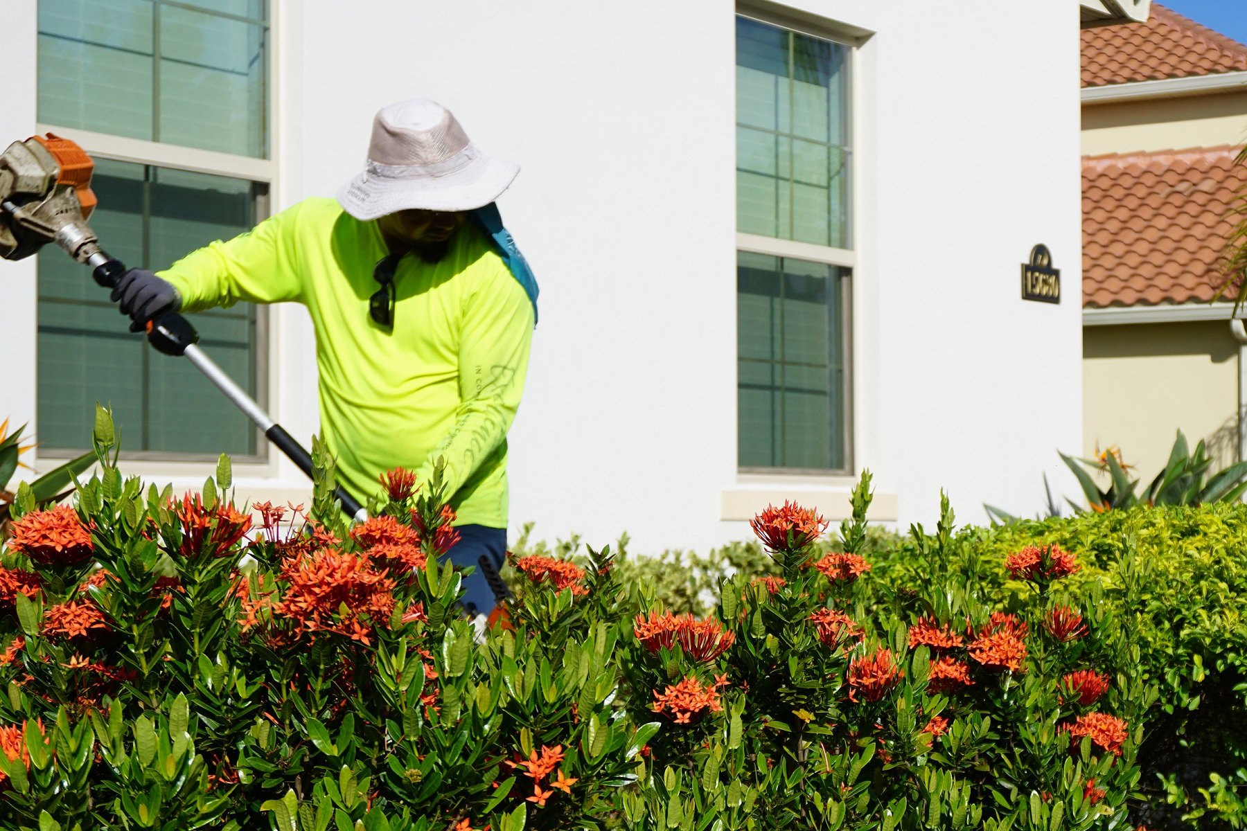 Maintenance crew trimming shrubs