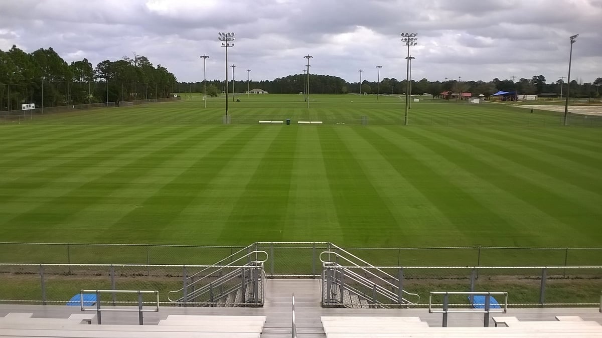 natural turf athletic field