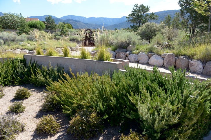 Desert Landscape Rocks Commercial Landscaping Services New Mexico