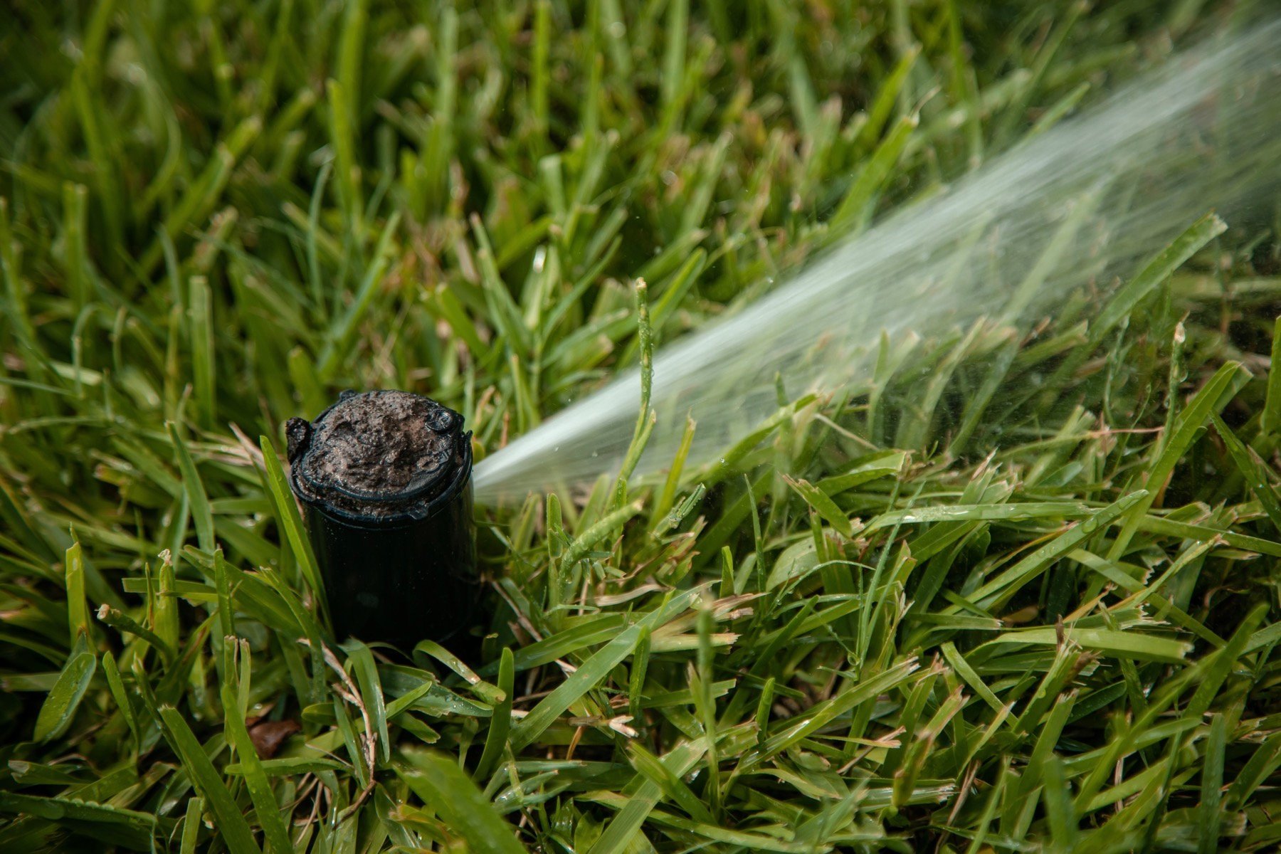 Irrigation for a green lawn