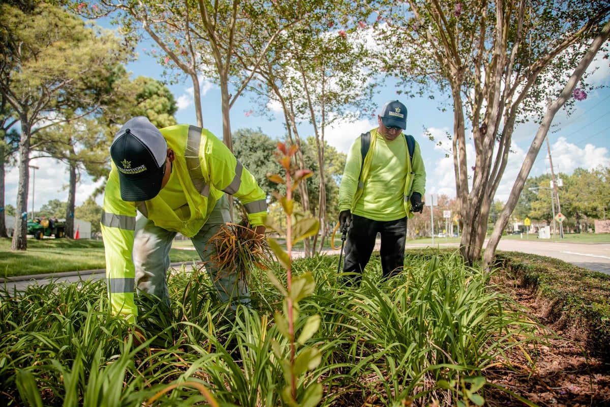 commercial landscaping crew maintenance pulling weeds