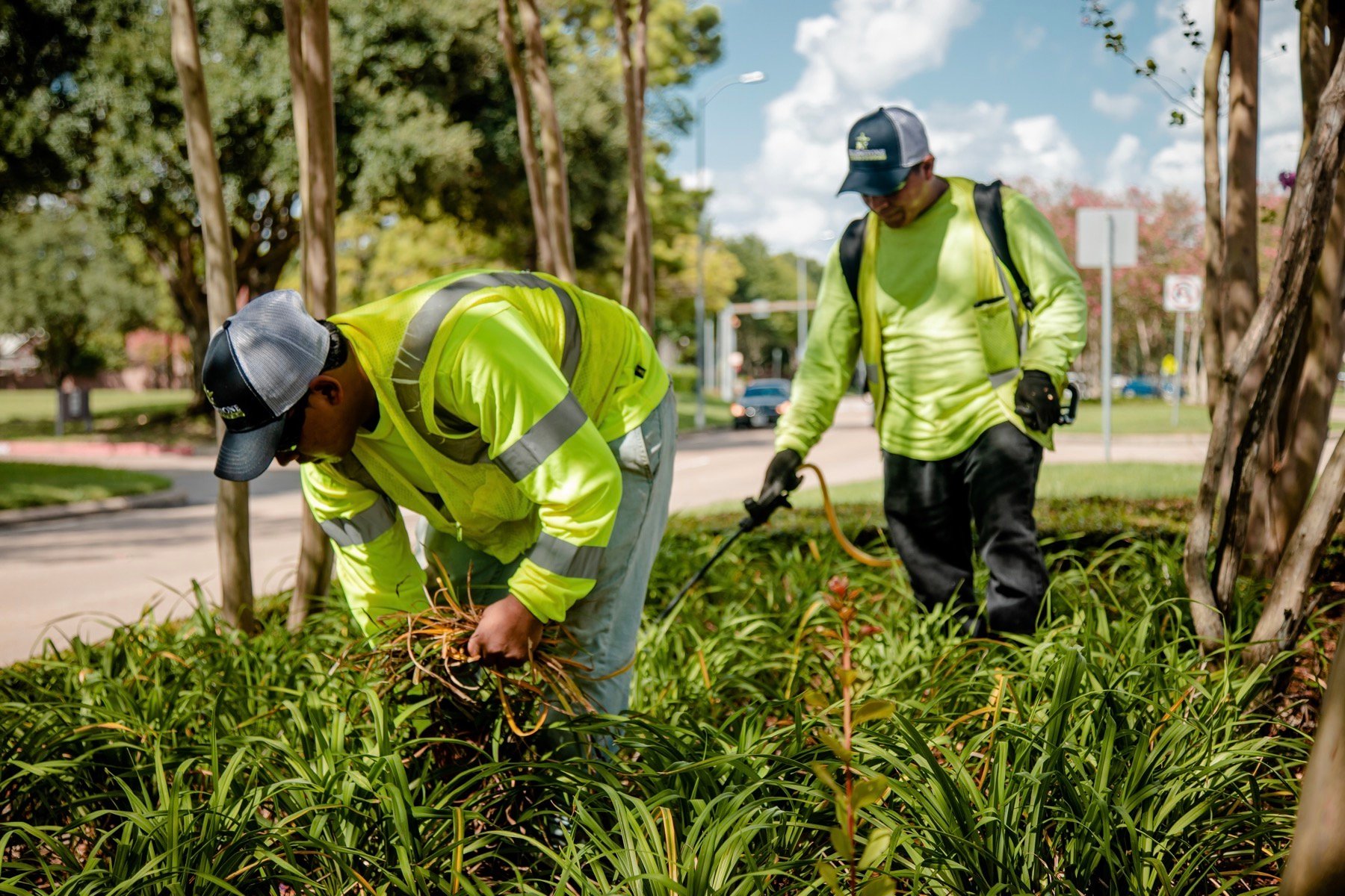 commercial landscaping crew maintaining landscape