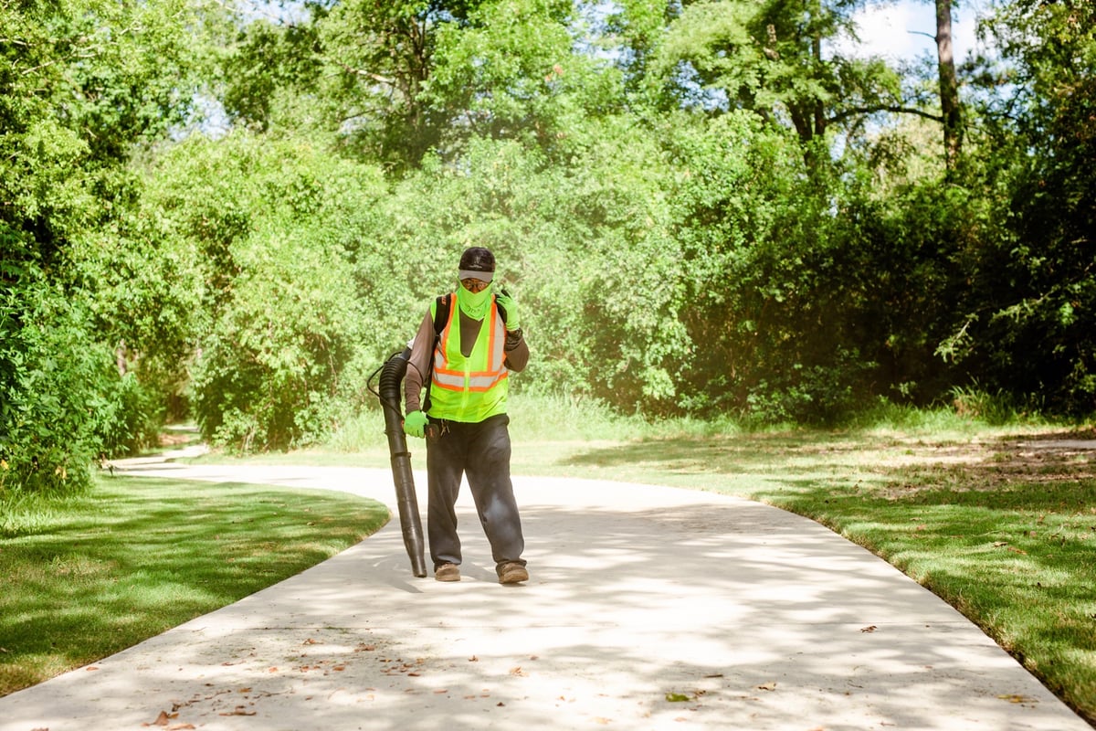 commercial landscaping leaf removal services