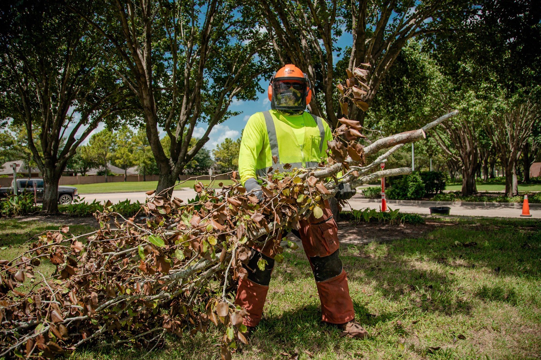 commercial tree service crew performing branch removal