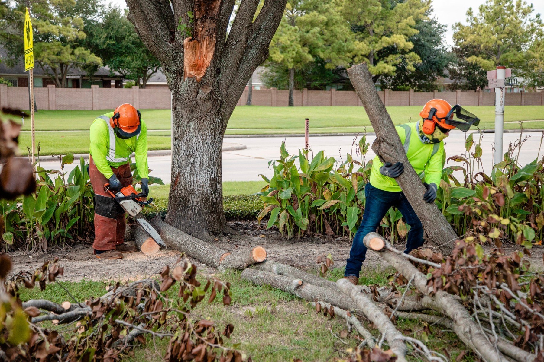 commercial tree service crew cleaning up fallen tree limbs