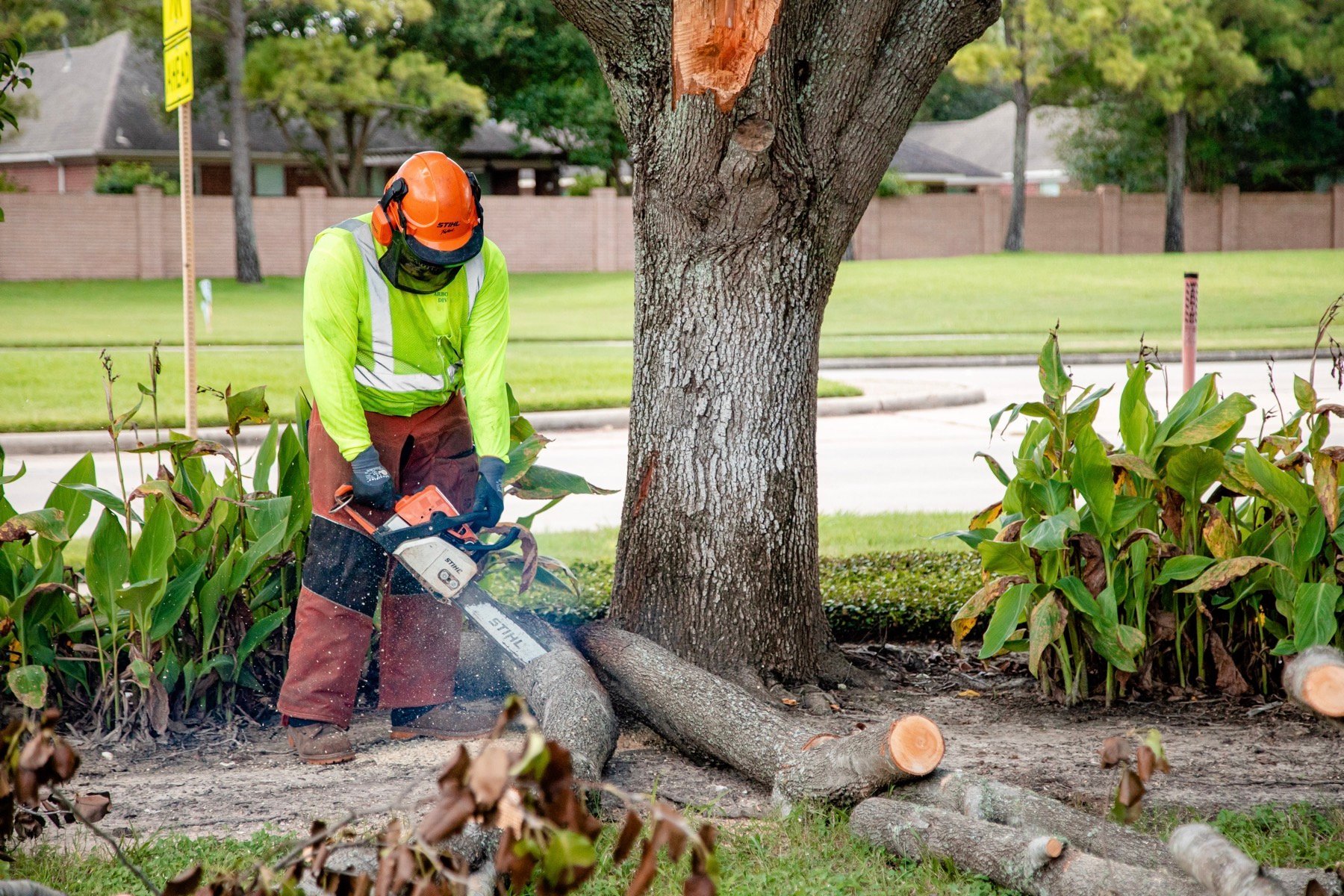 commercial tree service crew using a chainsaw to cut up fallen tree limbs