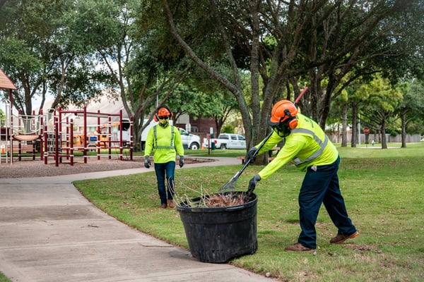 commercial tree service crew clean up 1