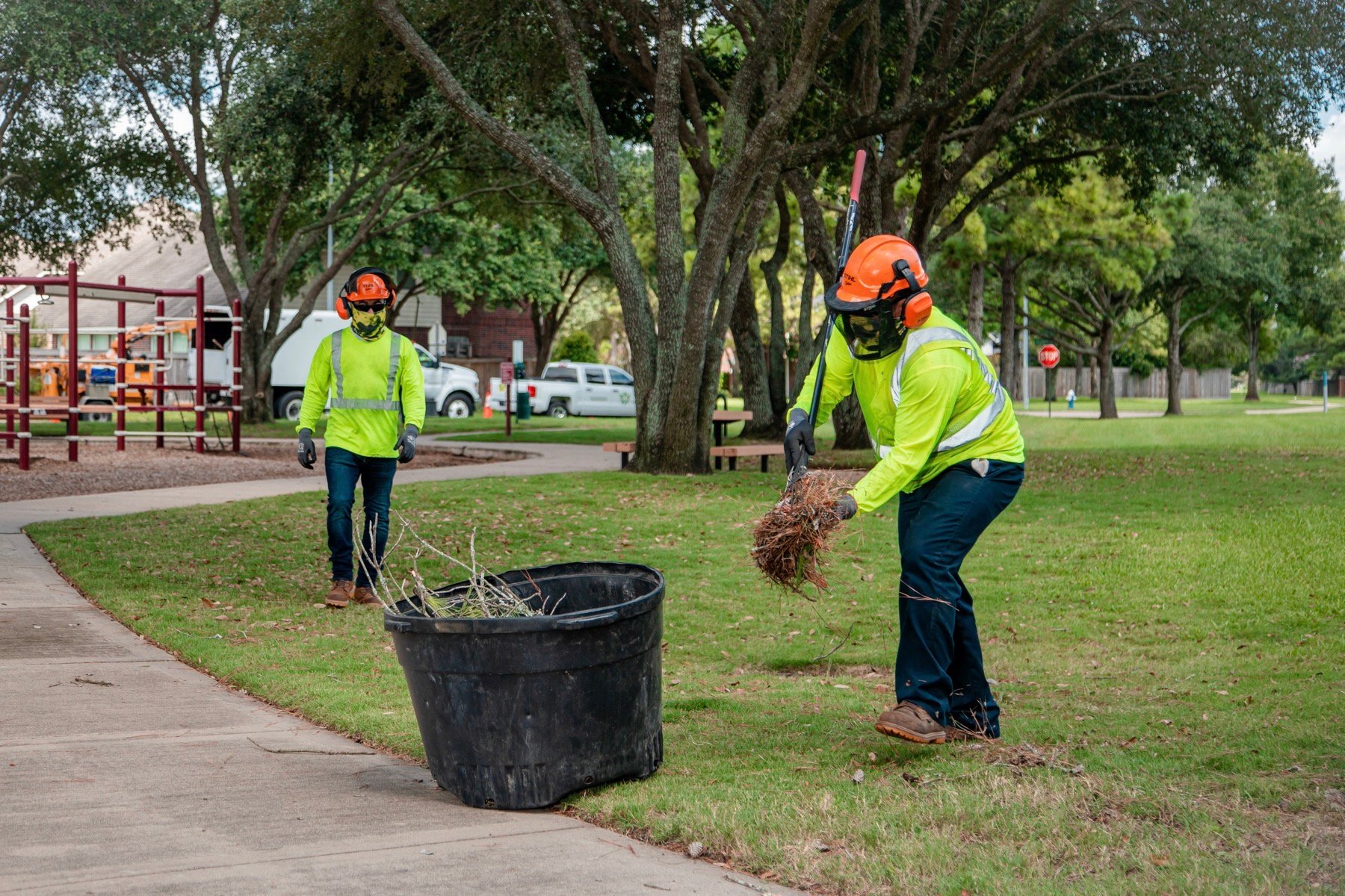 Commercial tree and landscape cleanup