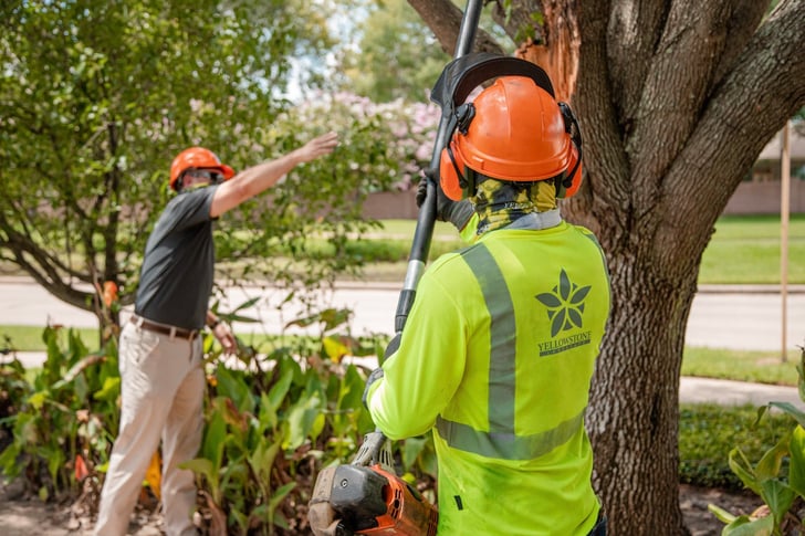 commercial tree service crew pole saw 1