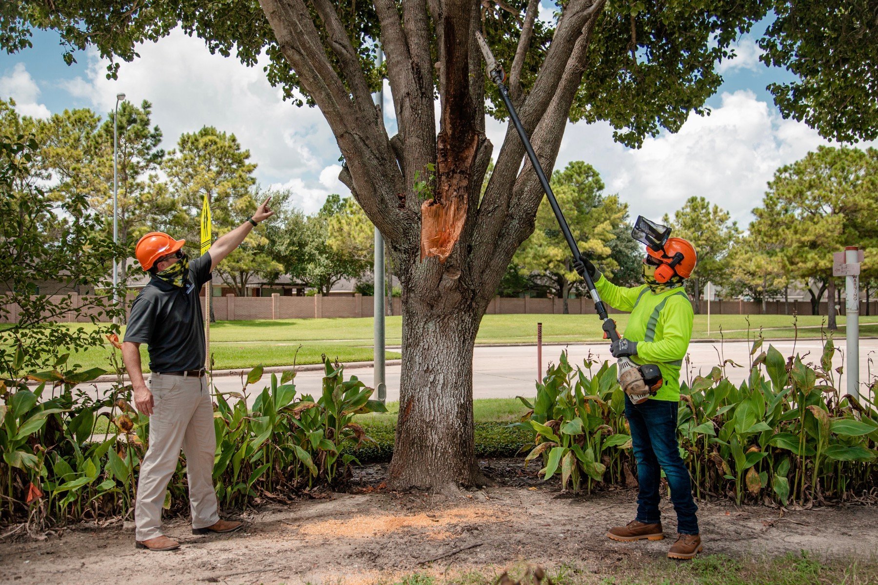 Storm damage cleanup