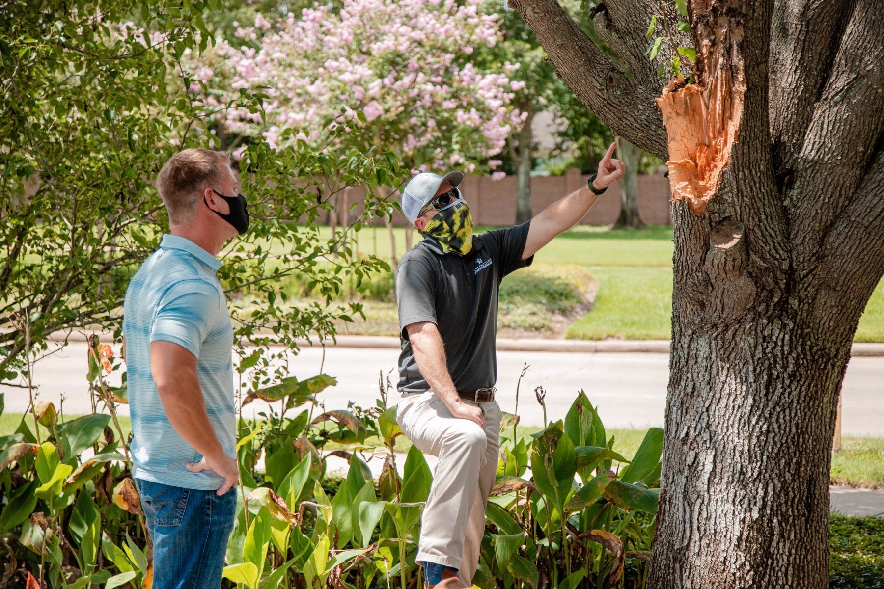 Commercial tree service inspection with a customer