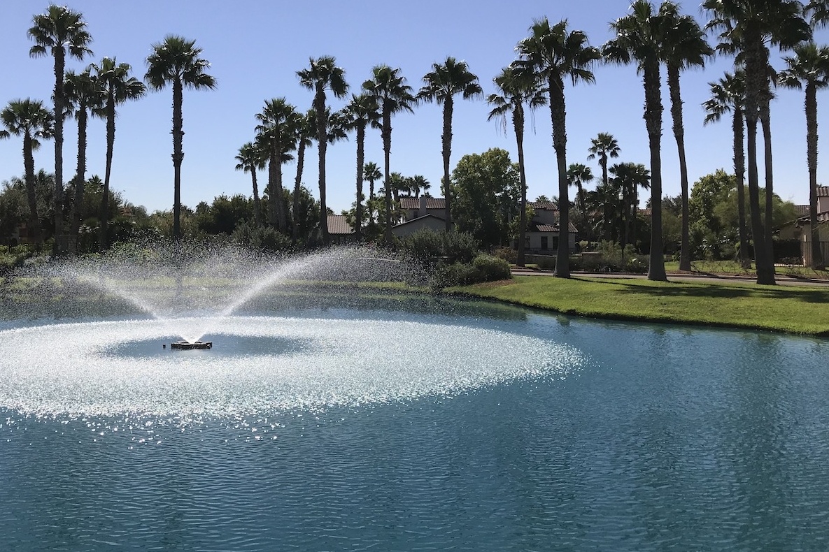 water fountain surrounded by landscaping