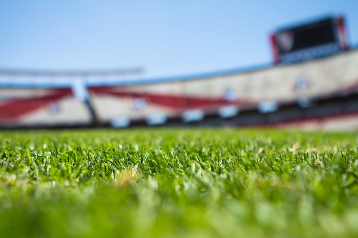 close up of turf