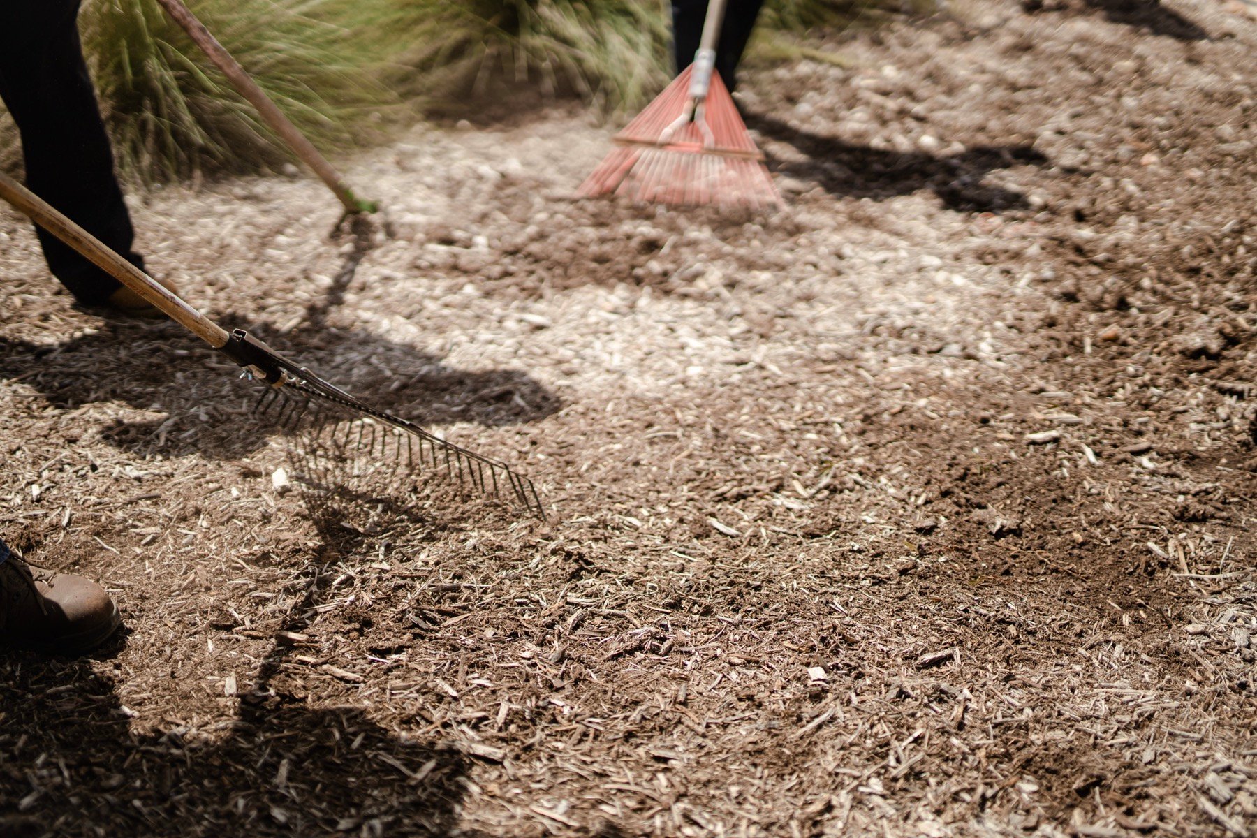 Adding mulch to a landscape