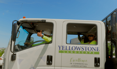 Leaf Clean-Up | Commercial Landscaping Solutions 