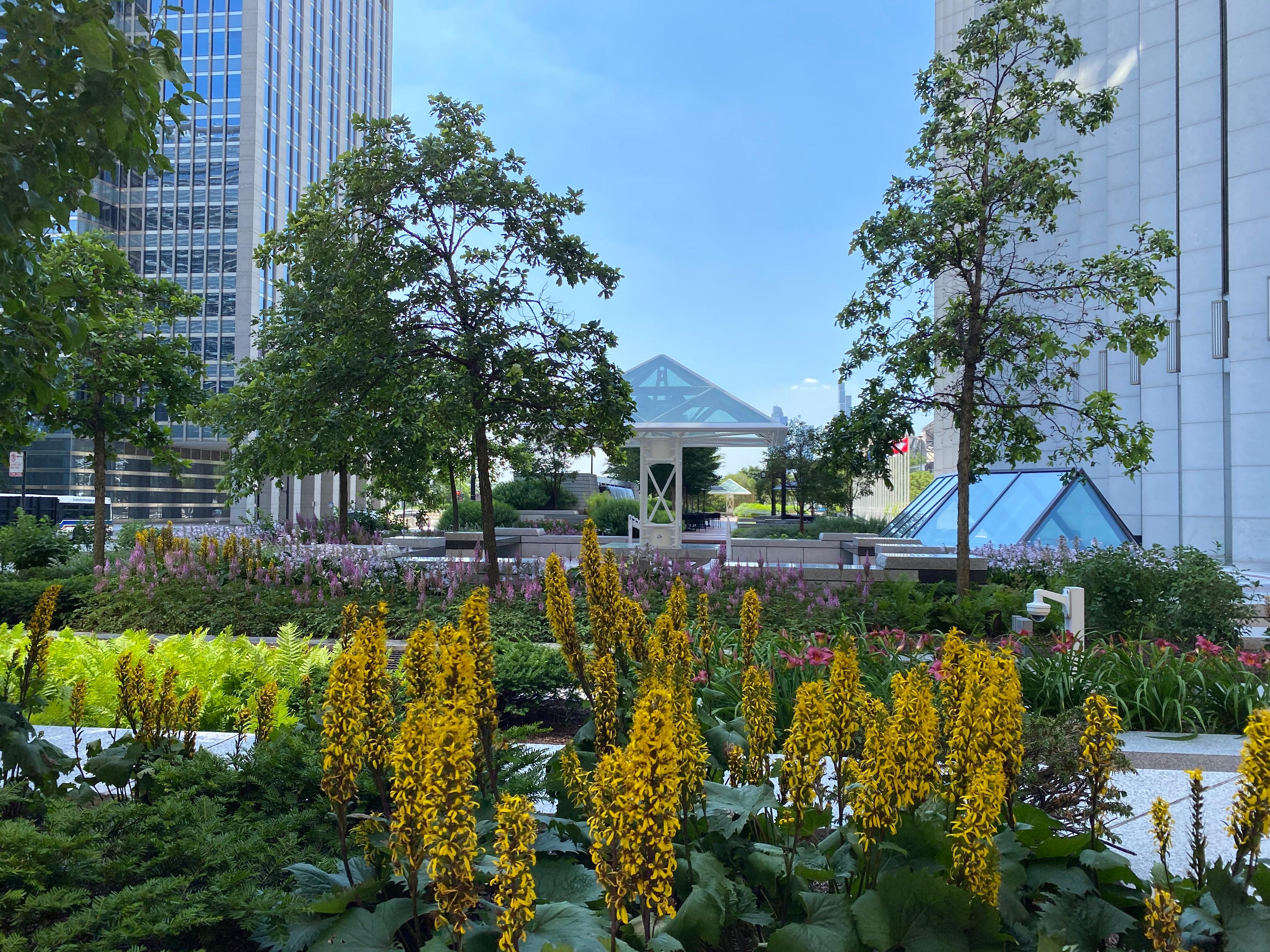 beautiful gardens on rooftop in Chicago. Commercial Landscaping Yellowstone Landscape