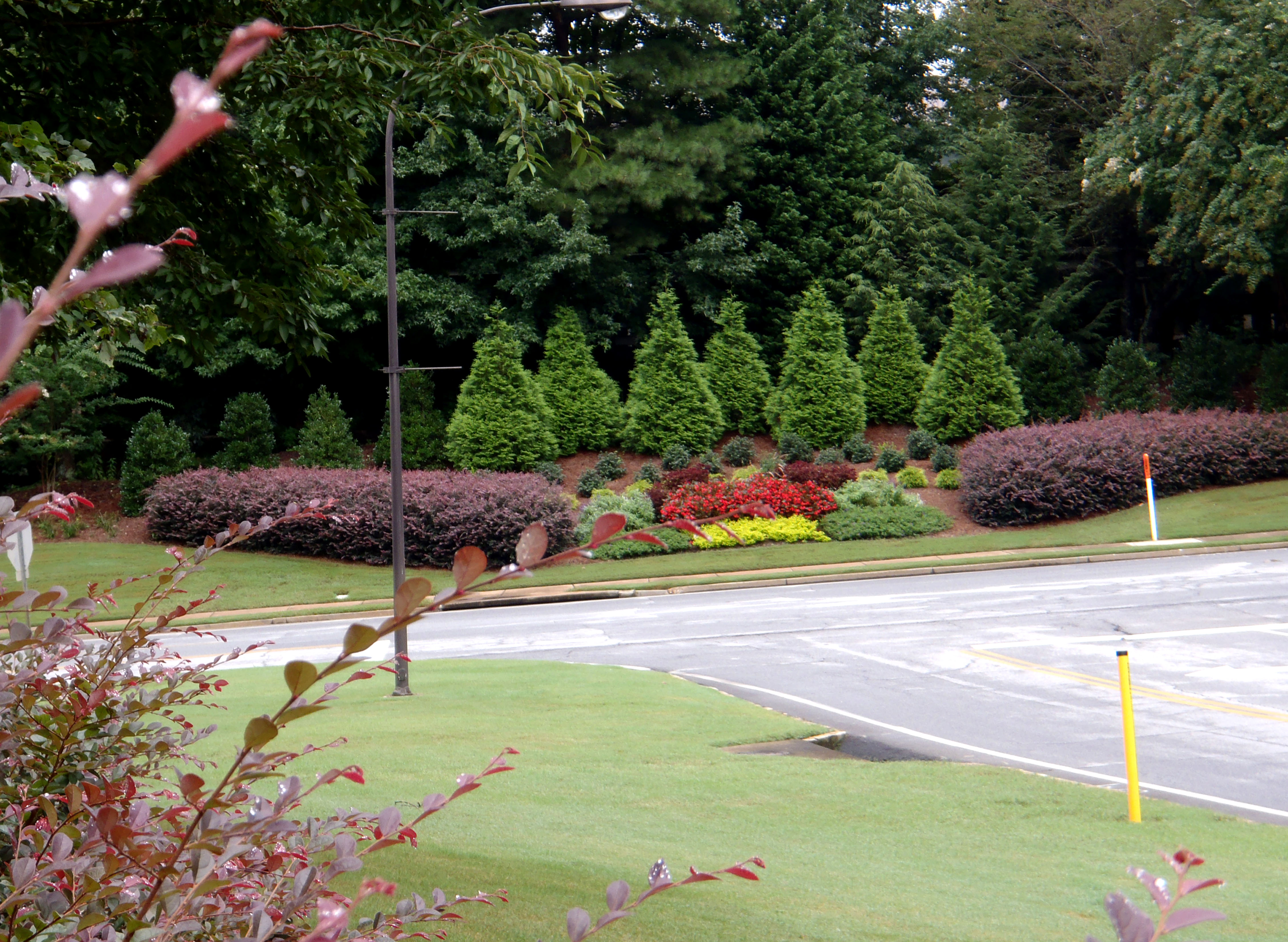 Technology Park Atlanta Landscape