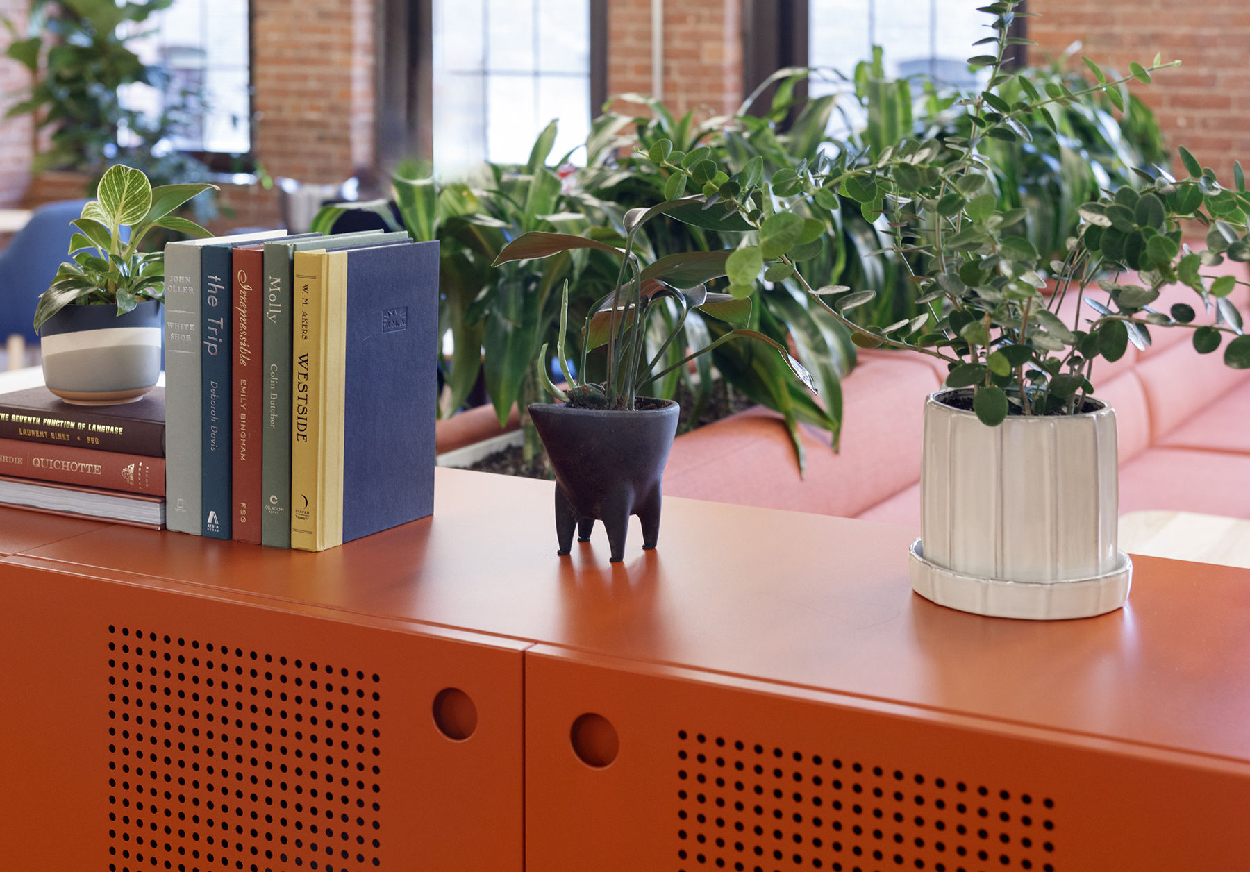 Vibrant indoor plants creating a calming and productive office environment