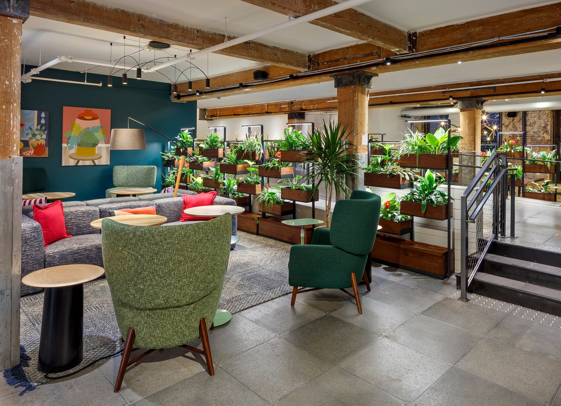ush office greenery enhancing a modern workspace through Biophilic Design