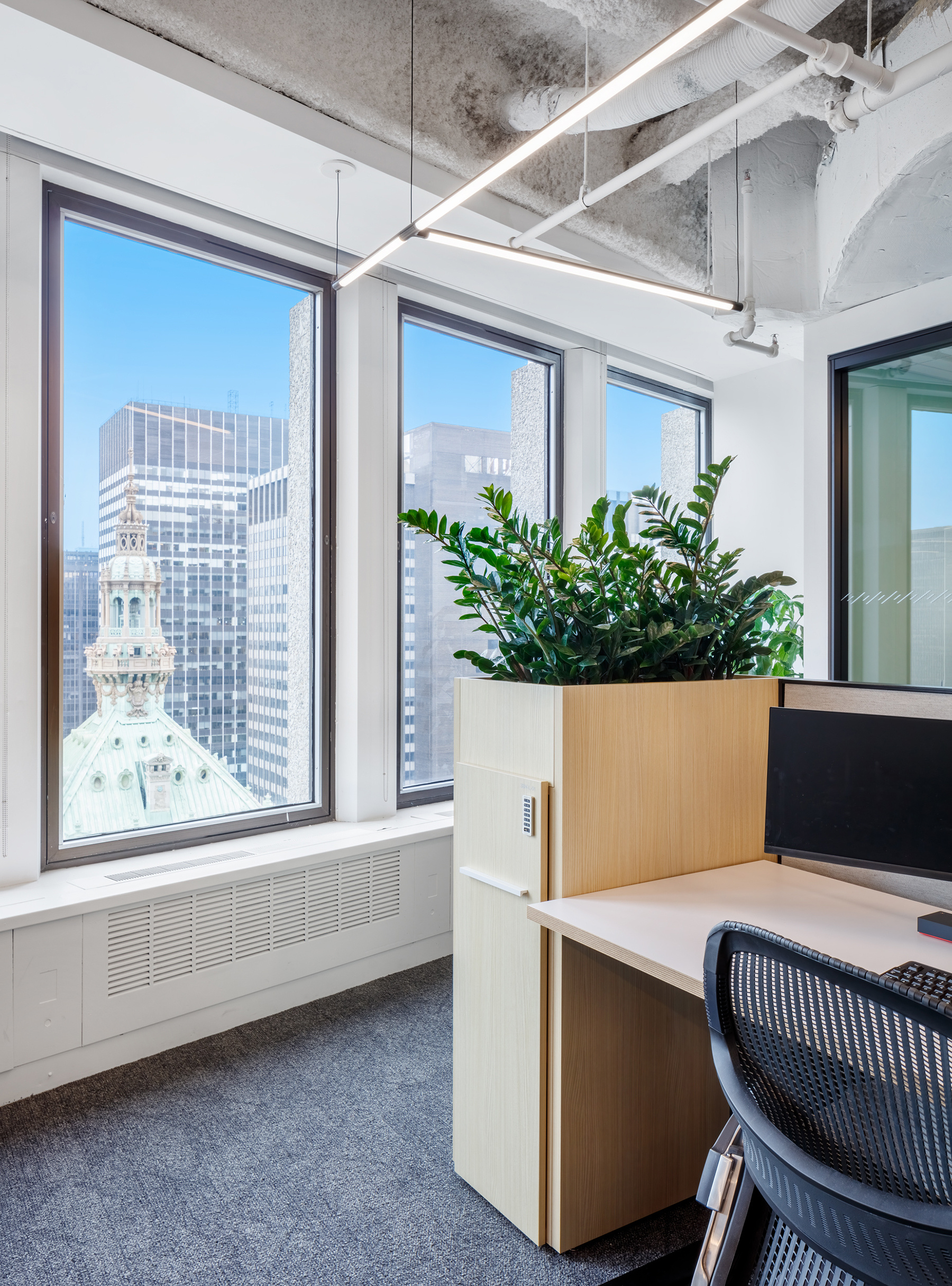 Close-up of low-maintenance indoor plants in container, adding warmth to the office space