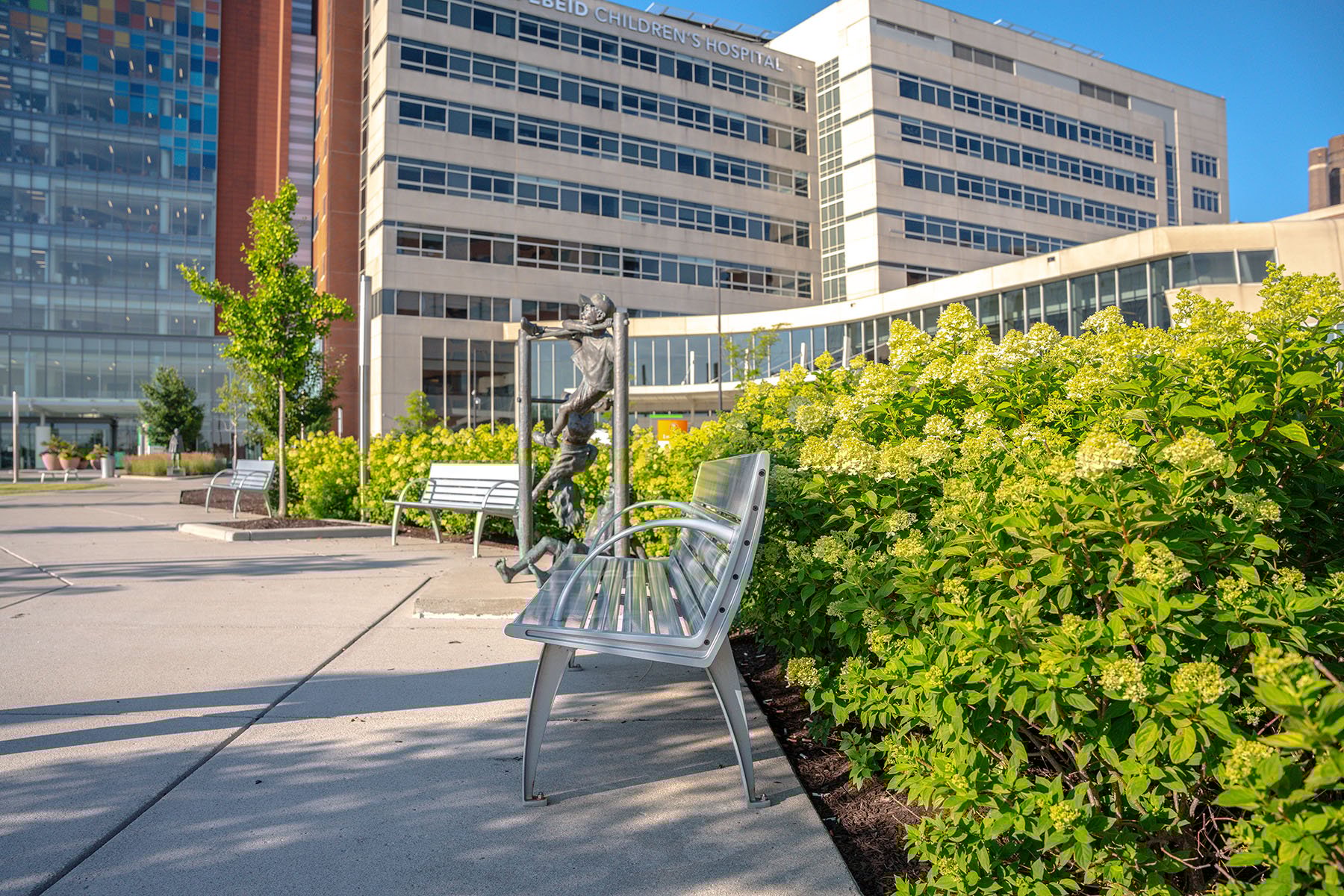 Bench on walkway surrounded by beautiful flowers. Example of commercial landscape design.