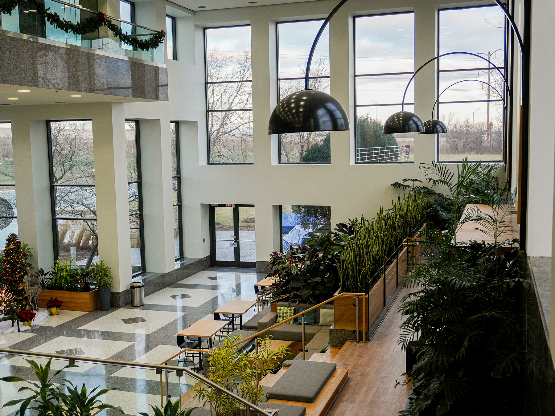 office space with live plants near desks