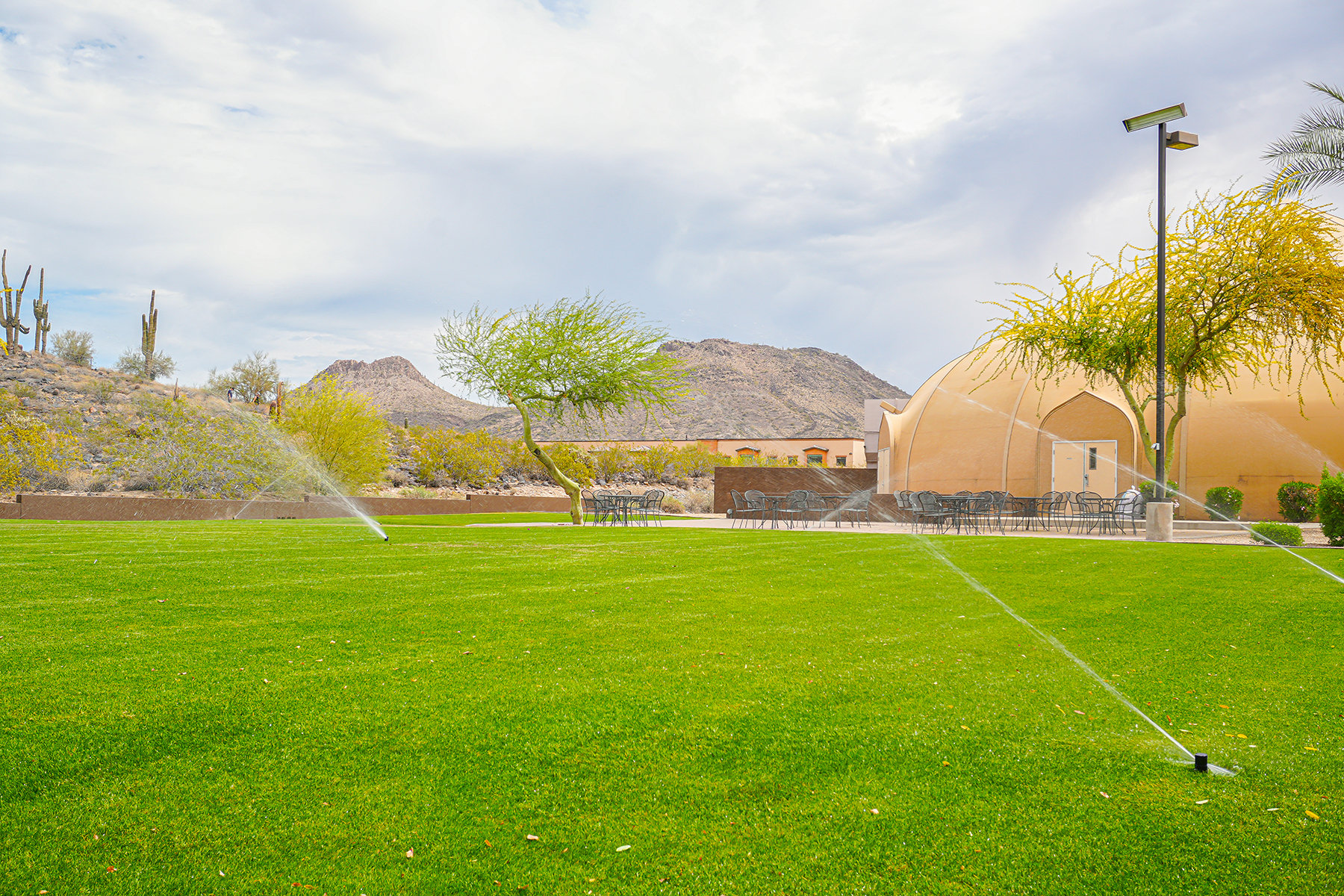 Irrigation sprinkler system in Phoenix 
