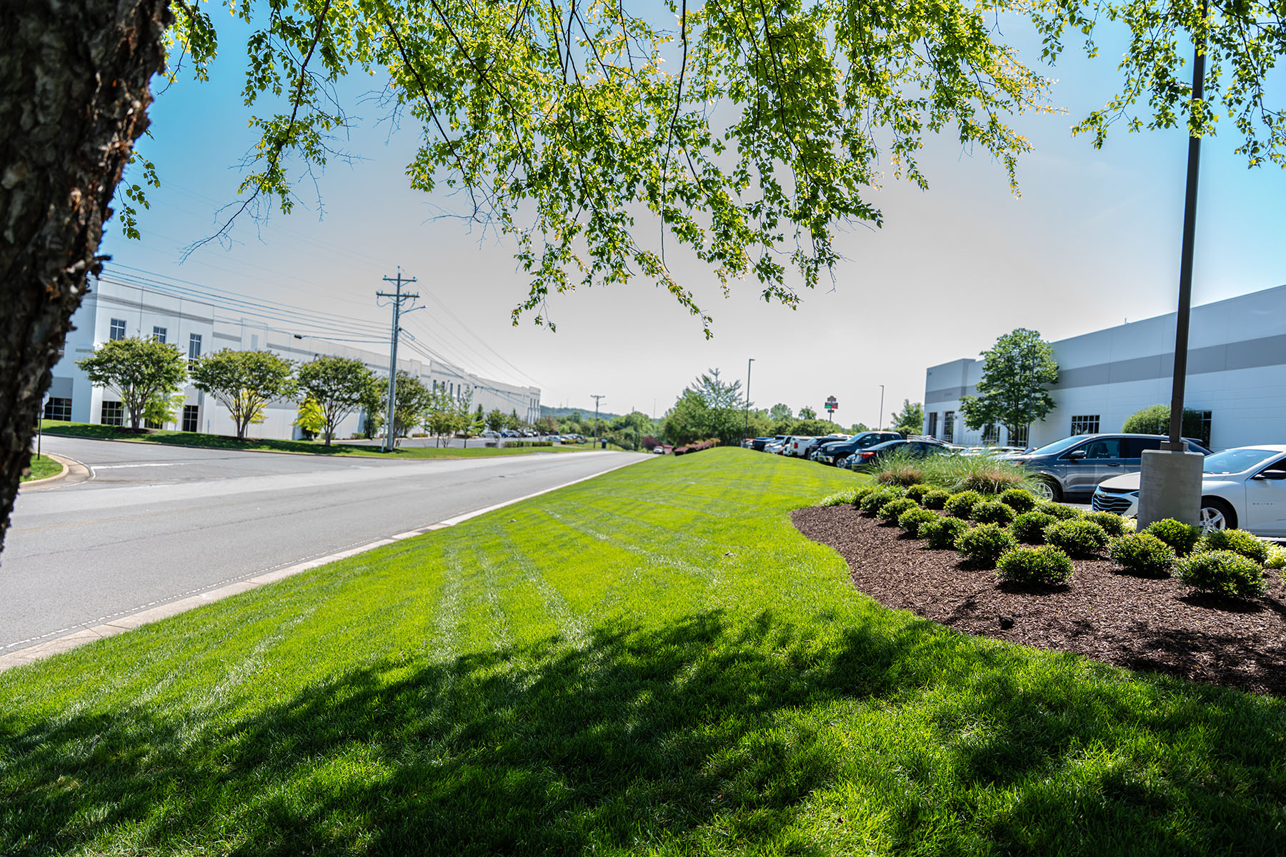 Road and Landscaping Bed at a Logistics Facility