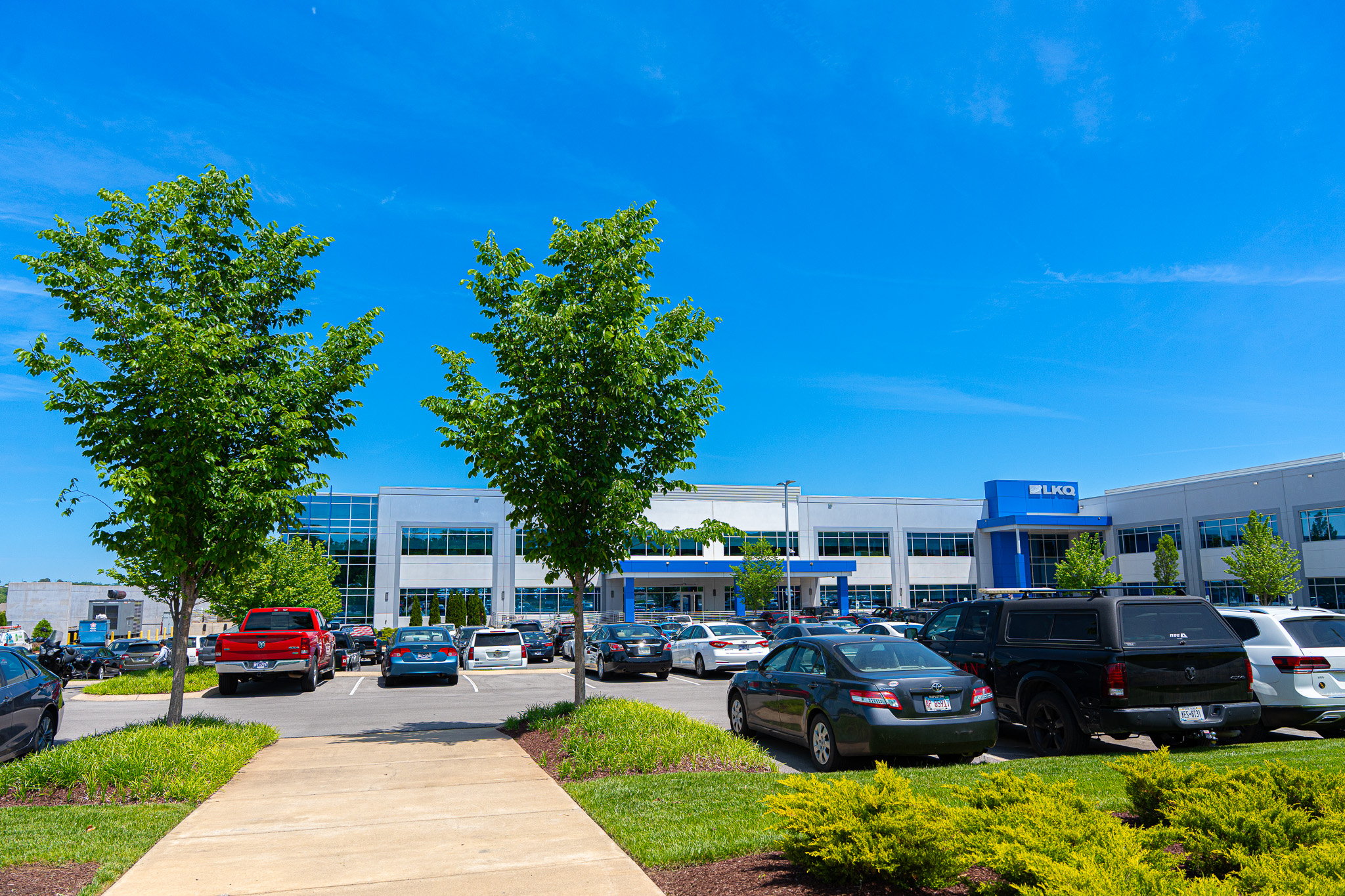 trees framing walkway into office | Corporate landscaping 