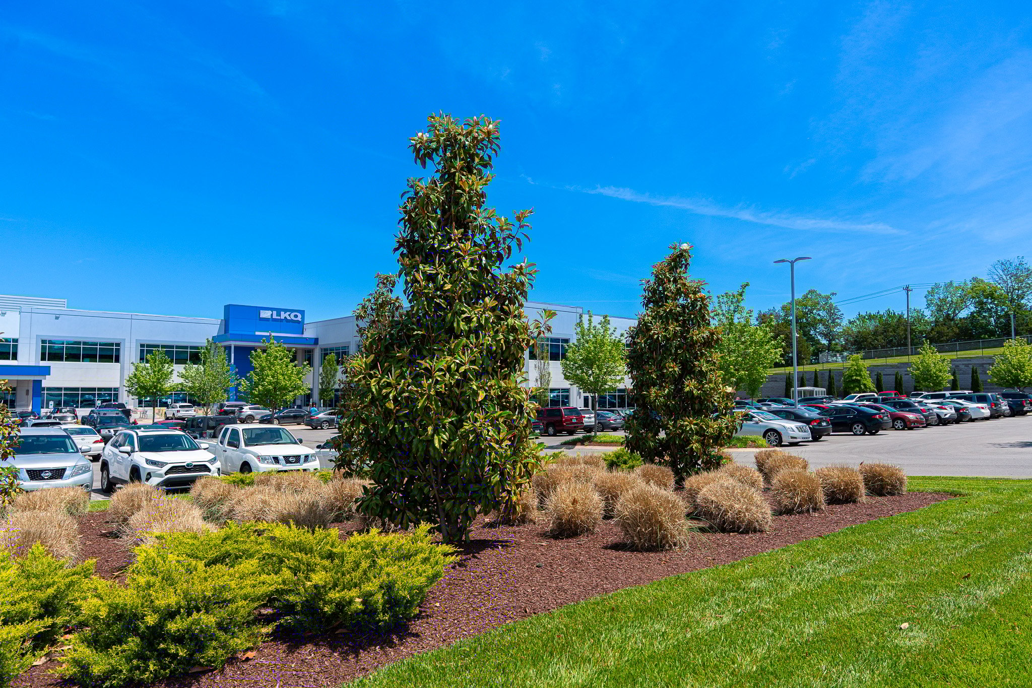 landscape design at corporate campus in TN 