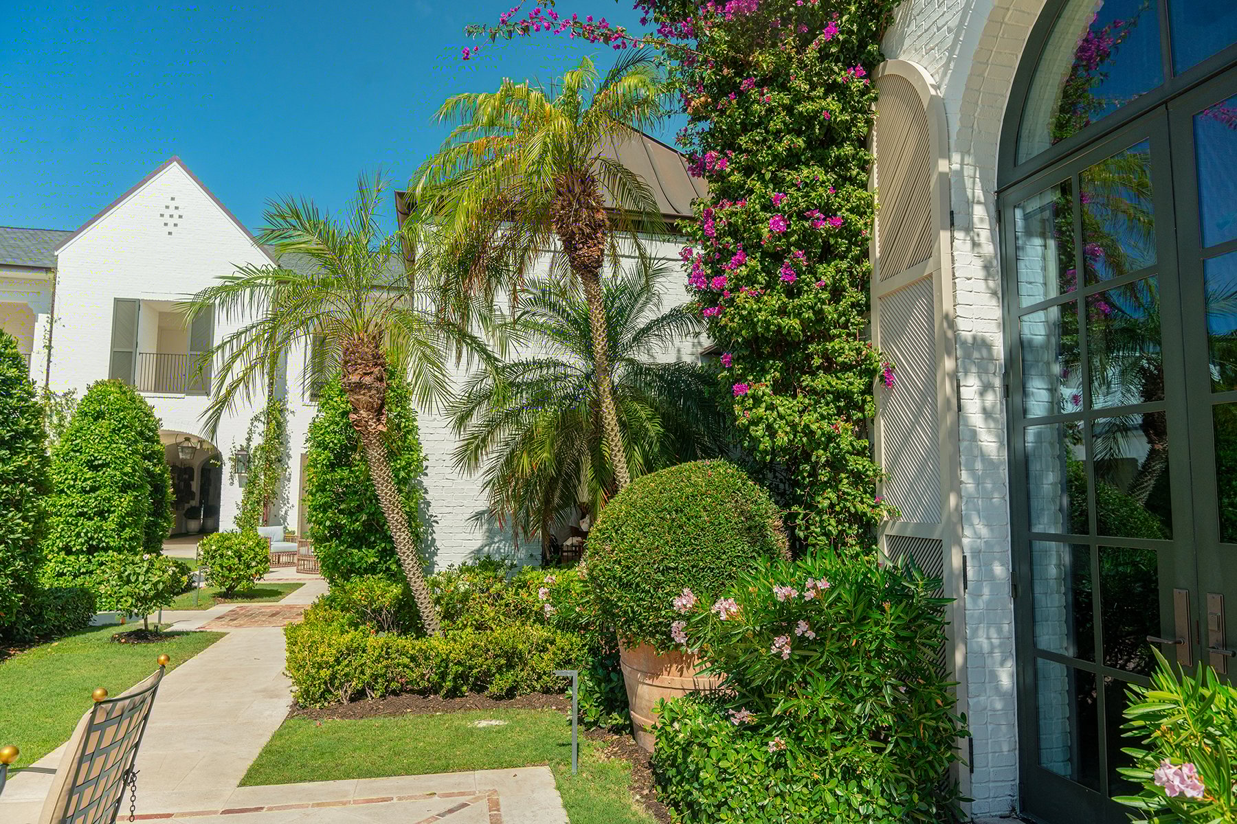 palms, lush resort style landscaping | Yellowstone Landscape