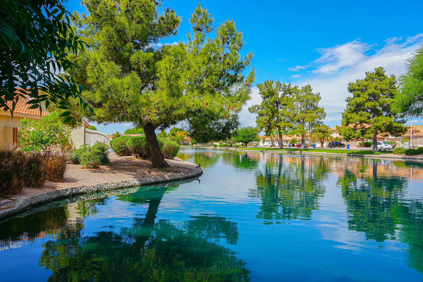 Community Pond Maintenance Services Yellowstone Landscape