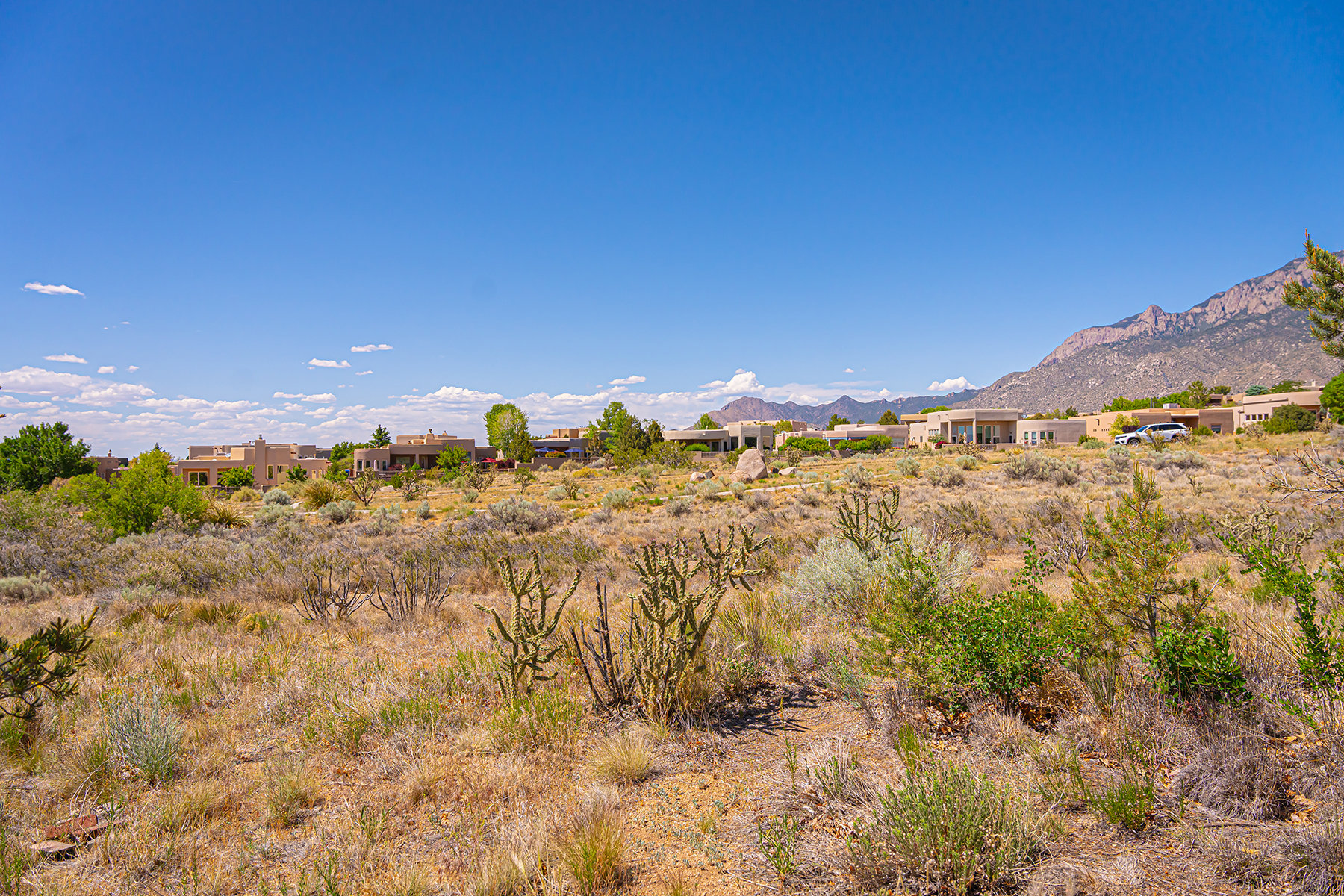 Desert Landscaping 
