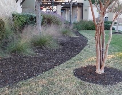 best mulch for landscaping wood mulch