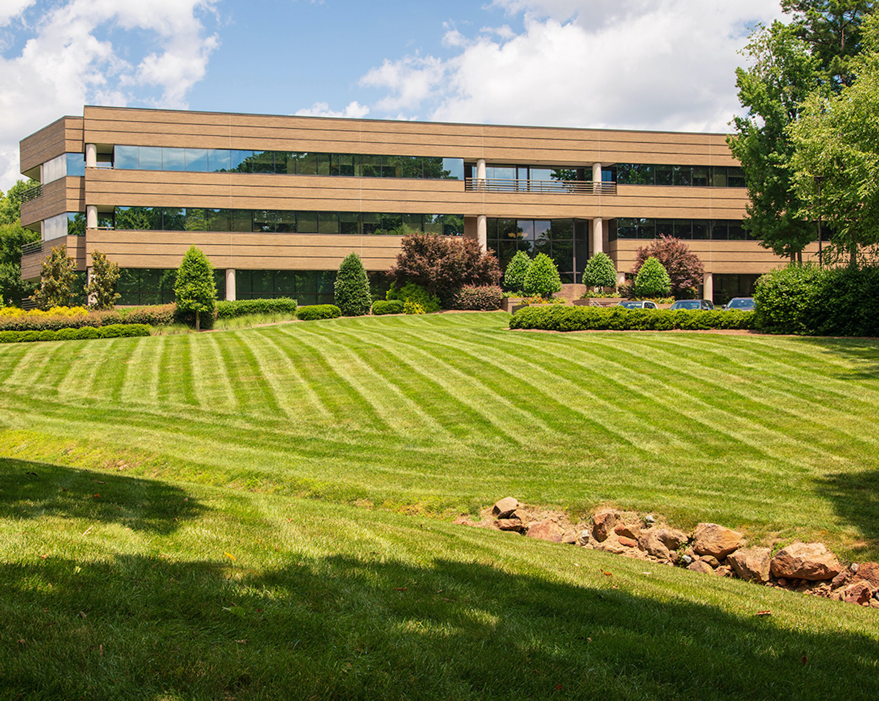 Freshly mowed grass