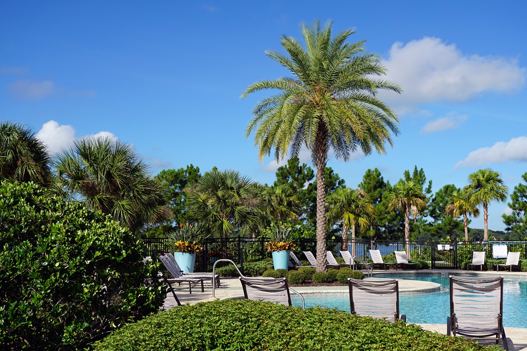Curated visual reference: Hoa Amenities You Can Offer For Summertime Fun Photo Inspiration