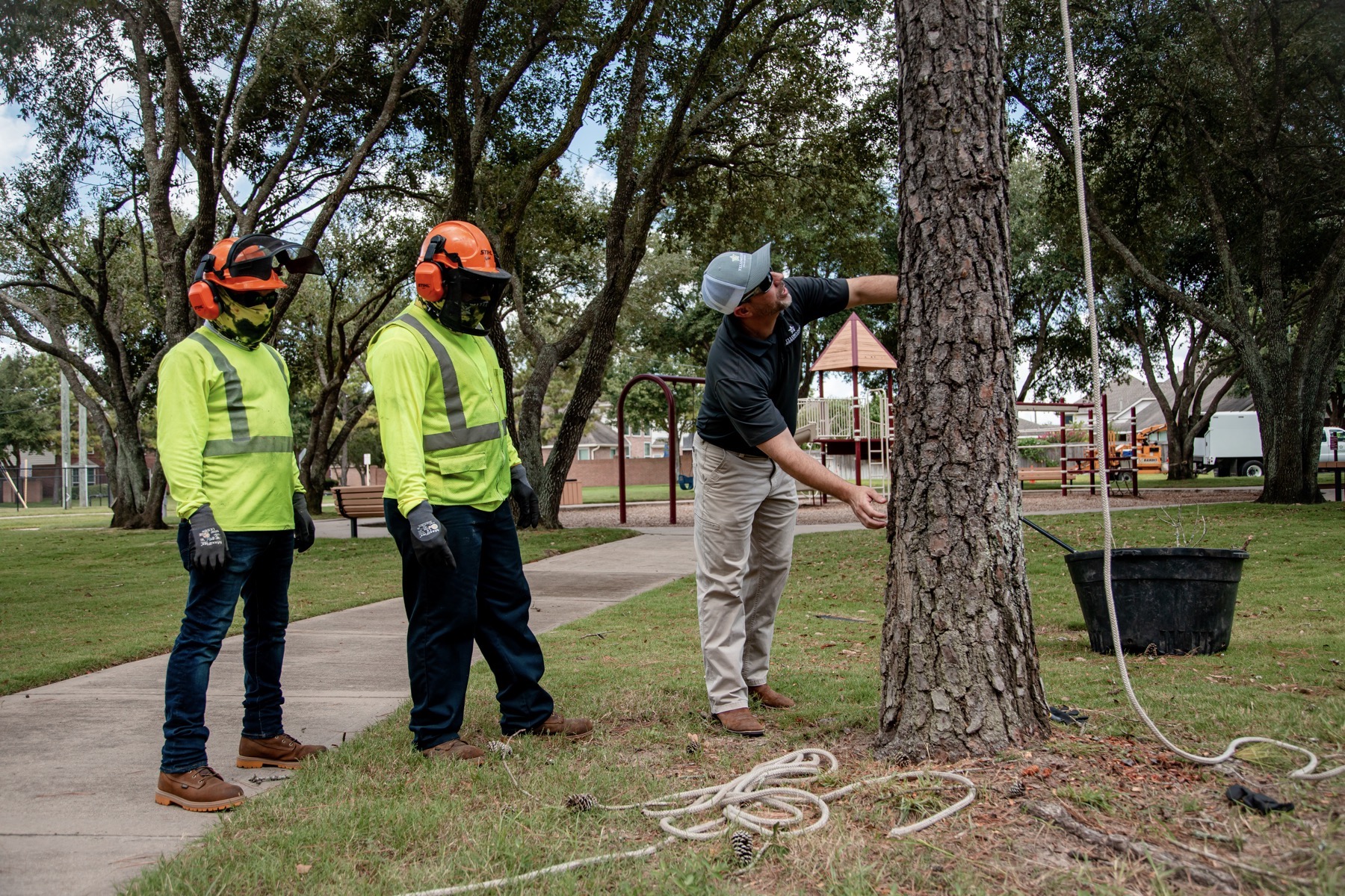 Tree service crew prepping for a job